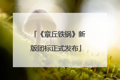 《章丘铁锅》新版团标正式发布