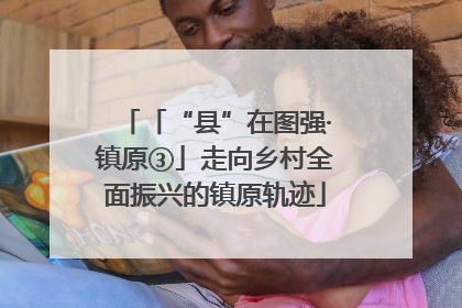 「“县”在图强·镇原③」走向乡村全面振兴的镇原轨迹