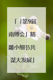 「第9届南博会」精雕小细节共谋大发展