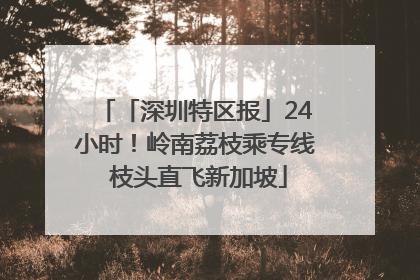「深圳特区报」24小时！岭南荔枝乘专线 枝头直飞新加坡