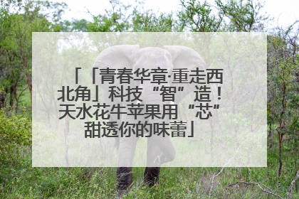 「青春华章·重走西北角」科技“智”造！天水花牛苹果用“芯”甜透你的味蕾