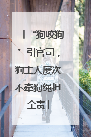 “狗咬狗”引官司，狗主人屡次不牵狗绳担全责