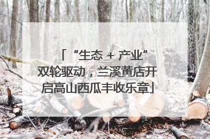 “生态 + 产业”双轮驱动，兰溪黄店开启高山西瓜丰收乐章