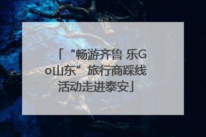 “畅游齐鲁 乐Go山东”旅行商踩线活动走进泰安