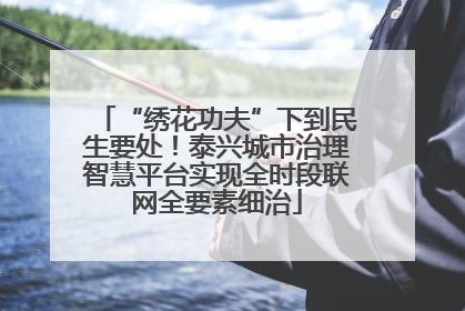 “绣花功夫”下到民生要处！泰兴城市治理智慧平台实现全时段联网全要素细治