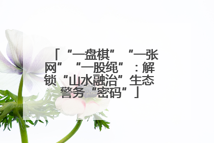 “一盘棋”“一张网”“一股绳”：解锁“山水融治”生态警务“密码”