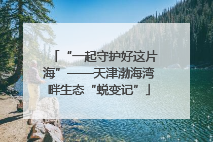 “一起守护好这片海”——天津渤海湾畔生态“蜕变记”