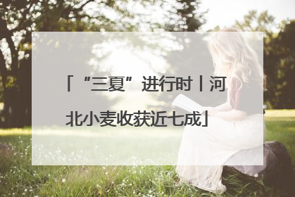 “三夏”进行时丨河北小麦收获近七成
