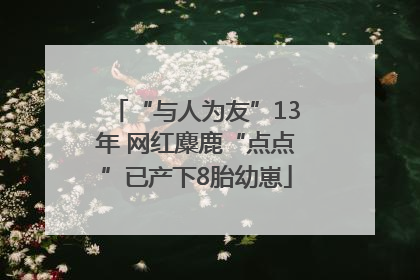 “与人为友”13年 网红麋鹿“点点”已产下8胎幼崽