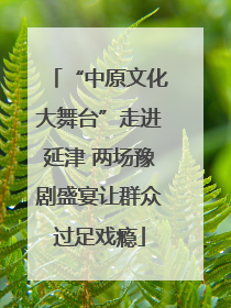 “中原文化大舞台”走进延津 两场豫剧盛宴让群众过足戏瘾