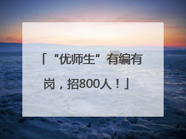 “优师生”有编有岗，招800人！