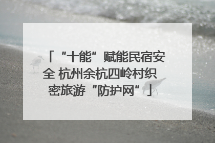 “十能”赋能民宿安全 杭州余杭四岭村织密旅游“防护网”