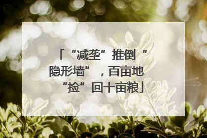 “减垄”推倒“隐形墙”，百亩地“捡”回十亩粮