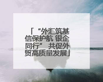 “外汇筑基 信保护航 银企同行” 共促外贸高质量发展