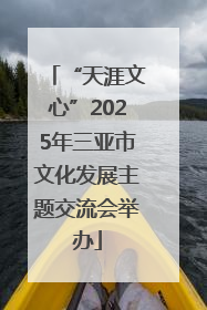 “天涯文心”2025年三亚市文化发展主题交流会举办