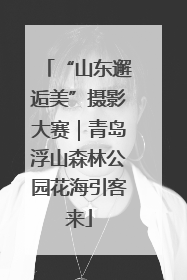 “山东邂逅美”摄影大赛｜青岛浮山森林公园花海引客来