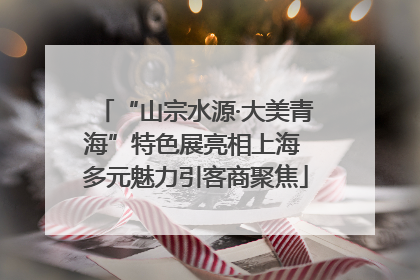 “山宗水源·大美青海”特色展亮相上海 多元魅力引客商聚焦