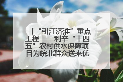 “引江济淮”重点工程——利辛“十四五”农村供水保障项目为皖北群众送来优质“引调水”