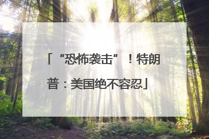 “恐怖袭击”！特朗普：美国绝不容忍