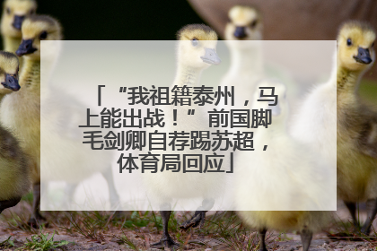 “我祖籍泰州，马上能出战！”前国脚毛剑卿自荐踢苏超，体育局回应