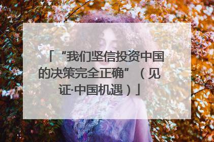 “我们坚信投资中国的决策完全正确”（见证·中国机遇）
