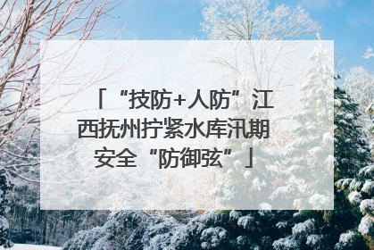 “技防+人防”江西抚州拧紧水库汛期安全“防御弦”