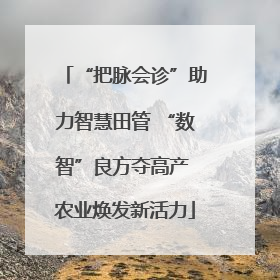 “把脉会诊”助力智慧田管 “数智”良方夺高产 农业焕发新活力