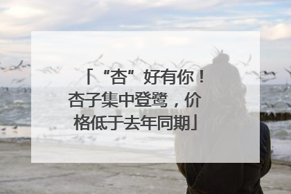 “杏”好有你！杏子集中登鹭，价格低于去年同期