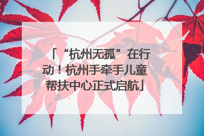 “杭州无孤”在行动！杭州手牵手儿童帮扶中心正式启航