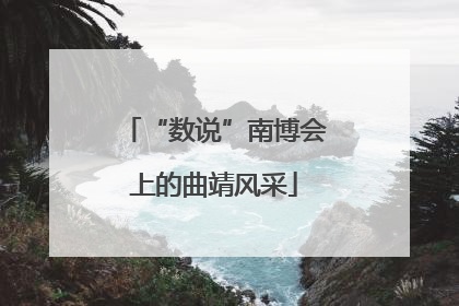 “数说”南博会上的曲靖风采