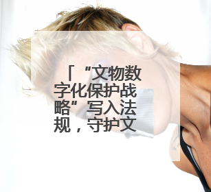 “文物数字化保护战略”写入法规，守护文明需担当