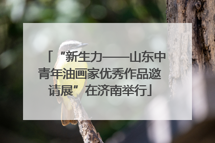“新生力——山东中青年油画家优秀作品邀请展”在济南举行
