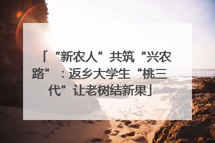 “新农人”共筑“兴农路”：返乡大学生“桃三代”让老树结新果