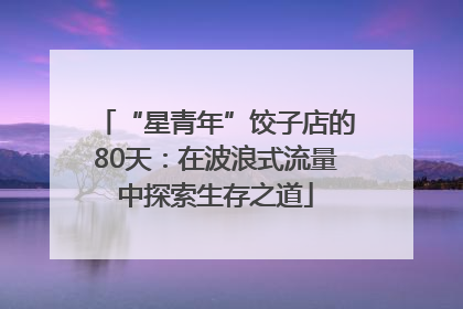 “星青年”饺子店的80天：在波浪式流量中探索生存之道