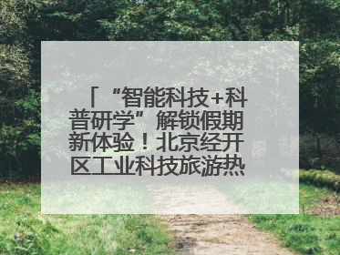 “智能科技+科普研学”解锁假期新体验！北京经开区工业科技旅游热度攀升