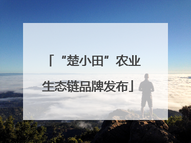 “楚小田”农业生态链品牌发布