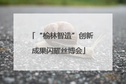“榆林智造”创新成果闪耀丝博会