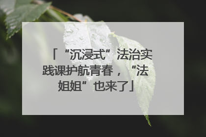 “沉浸式”法治实践课护航青春，“法姐姐”也来了