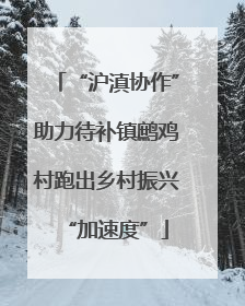 “沪滇协作”助力待补镇鹧鸡村跑出乡村振兴“加速度”