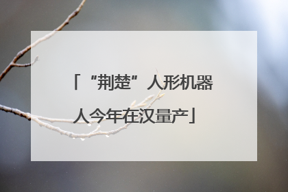 “荆楚”人形机器人今年在汉量产