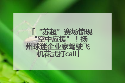 “苏超”赛场惊现 “空中应援”！扬州球迷企业家驾驶飞机花式打call