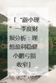 “蔚小理”一季度财报分析：理想盈利稳健 小鹏亏损收窄