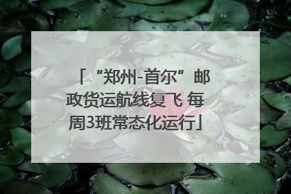 “郑州-首尔”邮政货运航线复飞 每周3班常态化运行