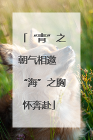 “青”之朝气相邀 “海”之胸怀奔赴