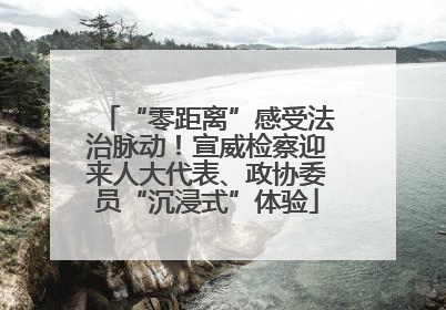 “零距离”感受法治脉动！宣威检察迎来人大代表、政协委员“沉浸式”体验