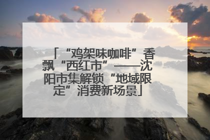 “鸡架味咖啡”香飘“西红市”——沈阳市集解锁“地域限定”消费新场景