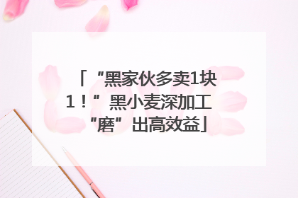 “黑家伙多卖1块1！”黑小麦深加工“磨”出高效益