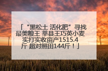 “黑松土 活化肥”寻找最美粮王 莘县王巧英小麦实打实收亩产1515.4斤 超对照田144斤！