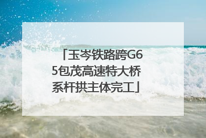 玉岑铁路跨G65包茂高速特大桥系杆拱主体完工
