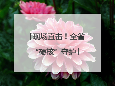 现场直击！全省“硬核”守护